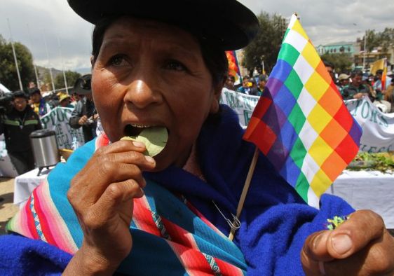 Mascar folha de coca na Bolívia é tradição cultural - Fonte - www.newsrondonia.com.br