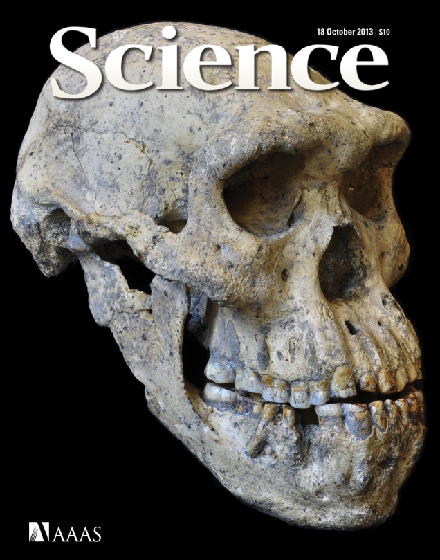 Capa da revista Science, com foto do novo crânio de Homo erectus. (Foto: © Guram Bumbiashvili/Georgian National Museum)