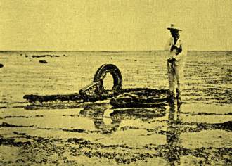 Restos de naufrágios no Atol das Rocas em 1934