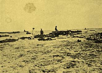 Outros restos de naufrágios fotografados em 1934